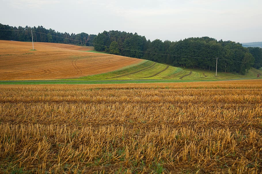 best agriculture college in dehradun