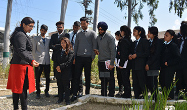 HIT Dehradun Best MSc Agronomy Courses in Dehradun