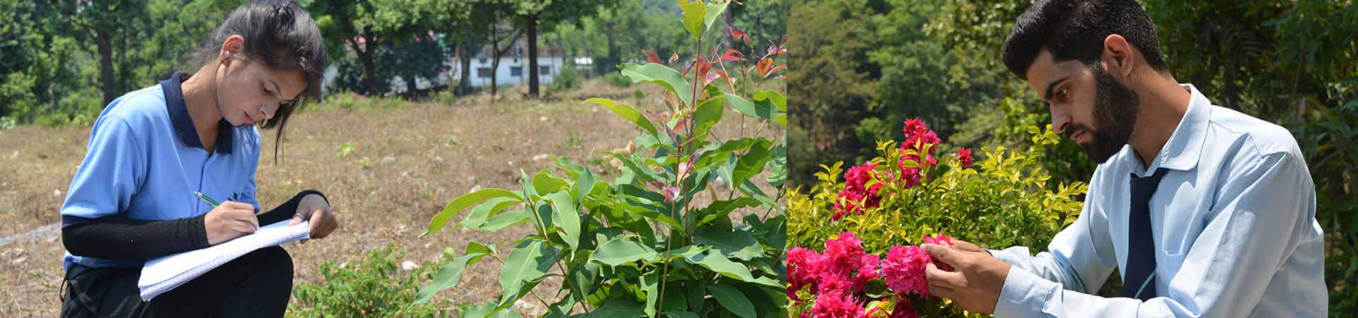 HIT Dehradun - Top Best BSc Forestry Course Colleges in Dehradun.